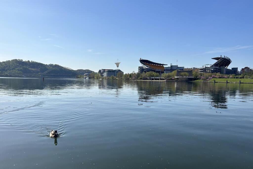 Sprawling Stadium Views Wonderful Location 24-7 Parking Gym Lounge 피츠버그 외부 사진